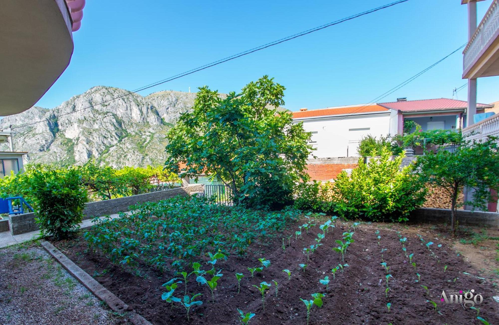 Apartments Fusion Μόσταρ Εξωτερικό φωτογραφία
